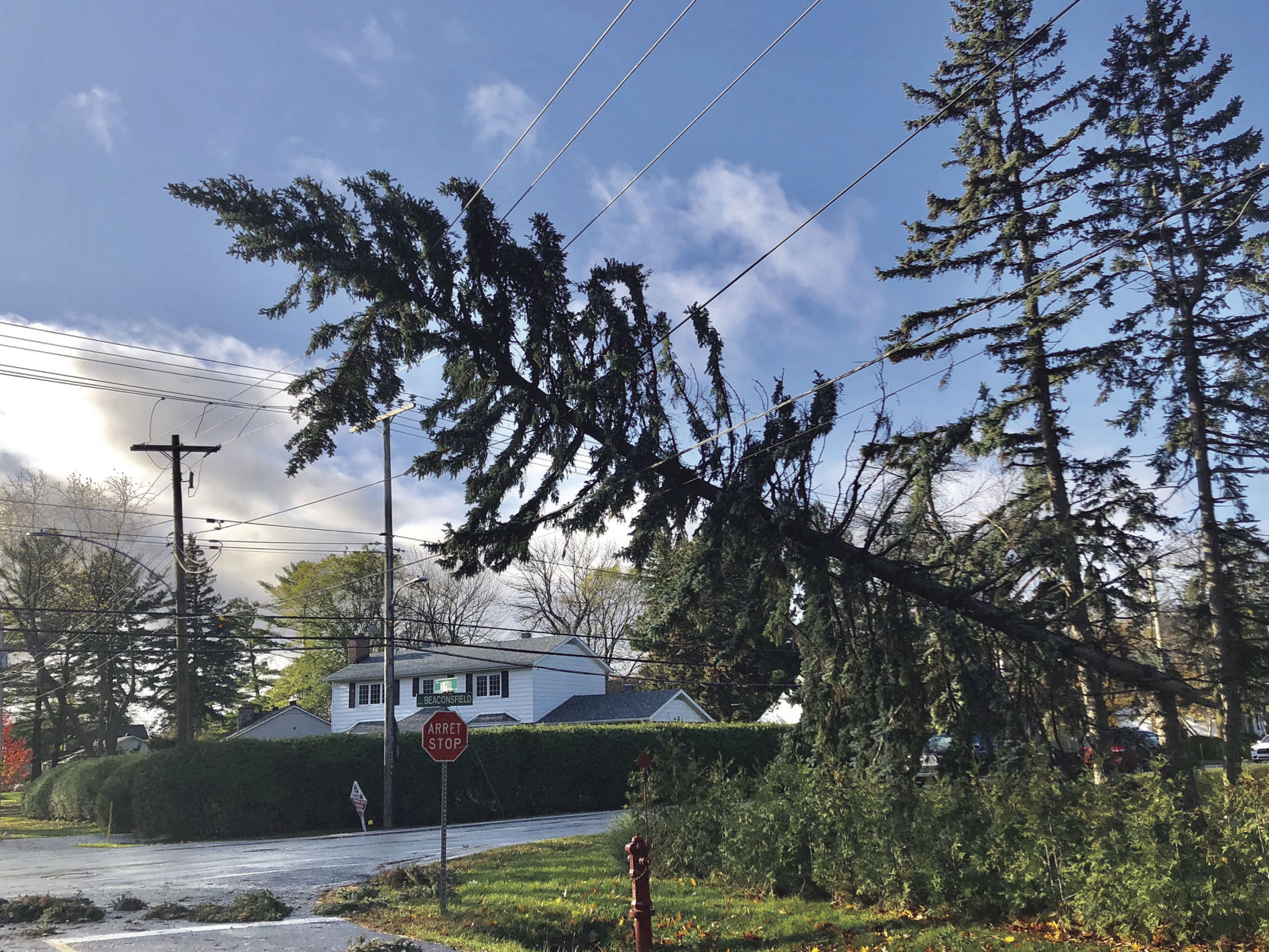 Over 485,000 without power in Quebec as winds top 100km/h